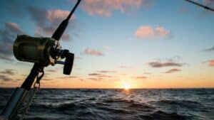 best fishing reels