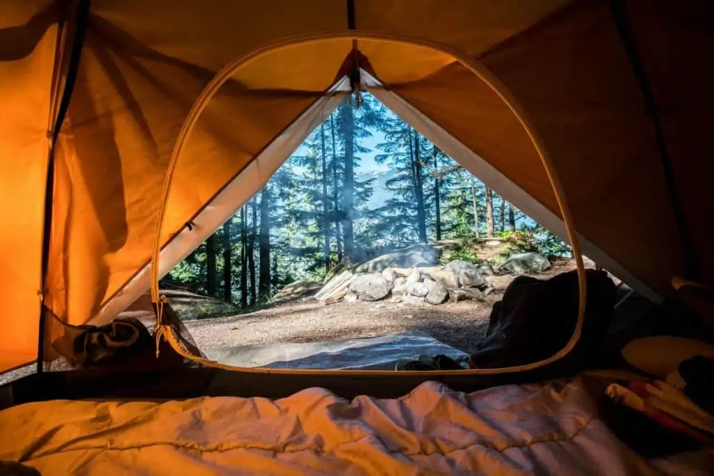 Camping tent in forest