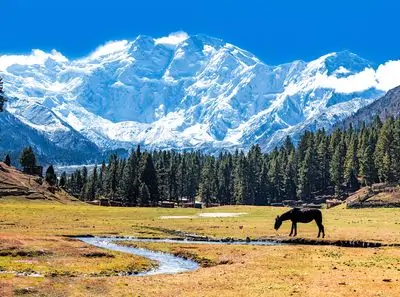 Nanga Parbat Mountain