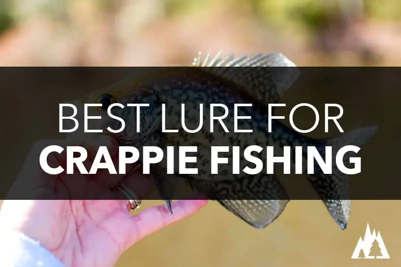 Best Lure For Crappie Fishing - Rep The Wild