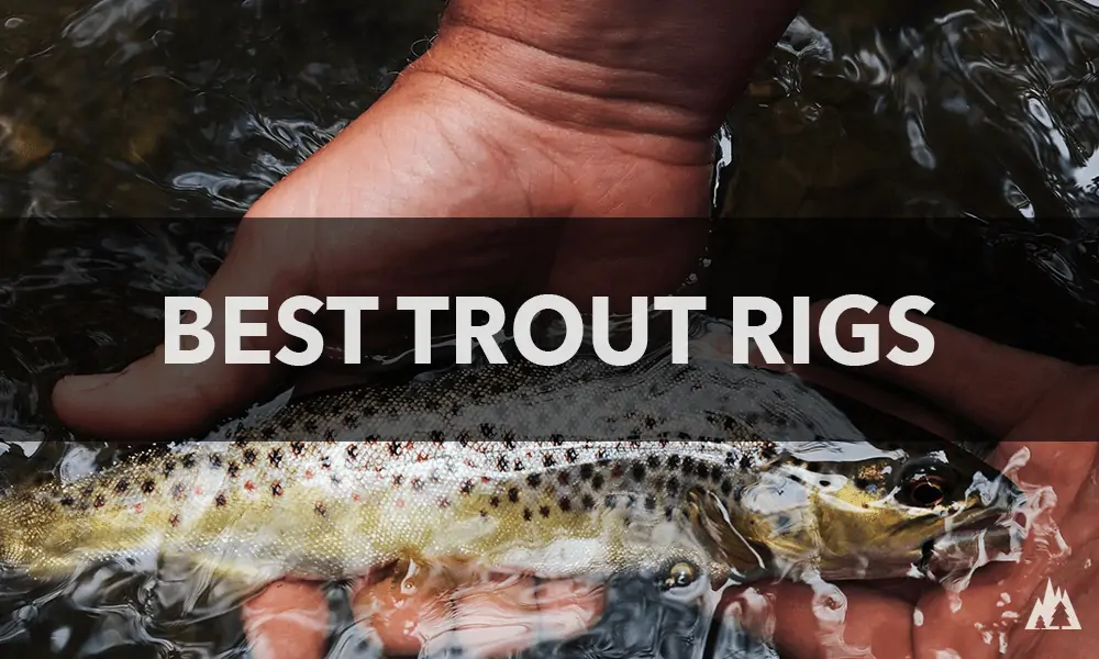 Trout Fishing Rigs Setup: Beginner's Guide - Rep The Wild