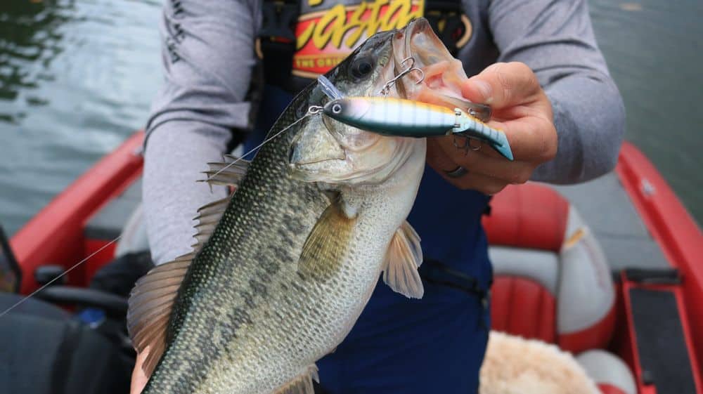 springtime bass fishing with lures