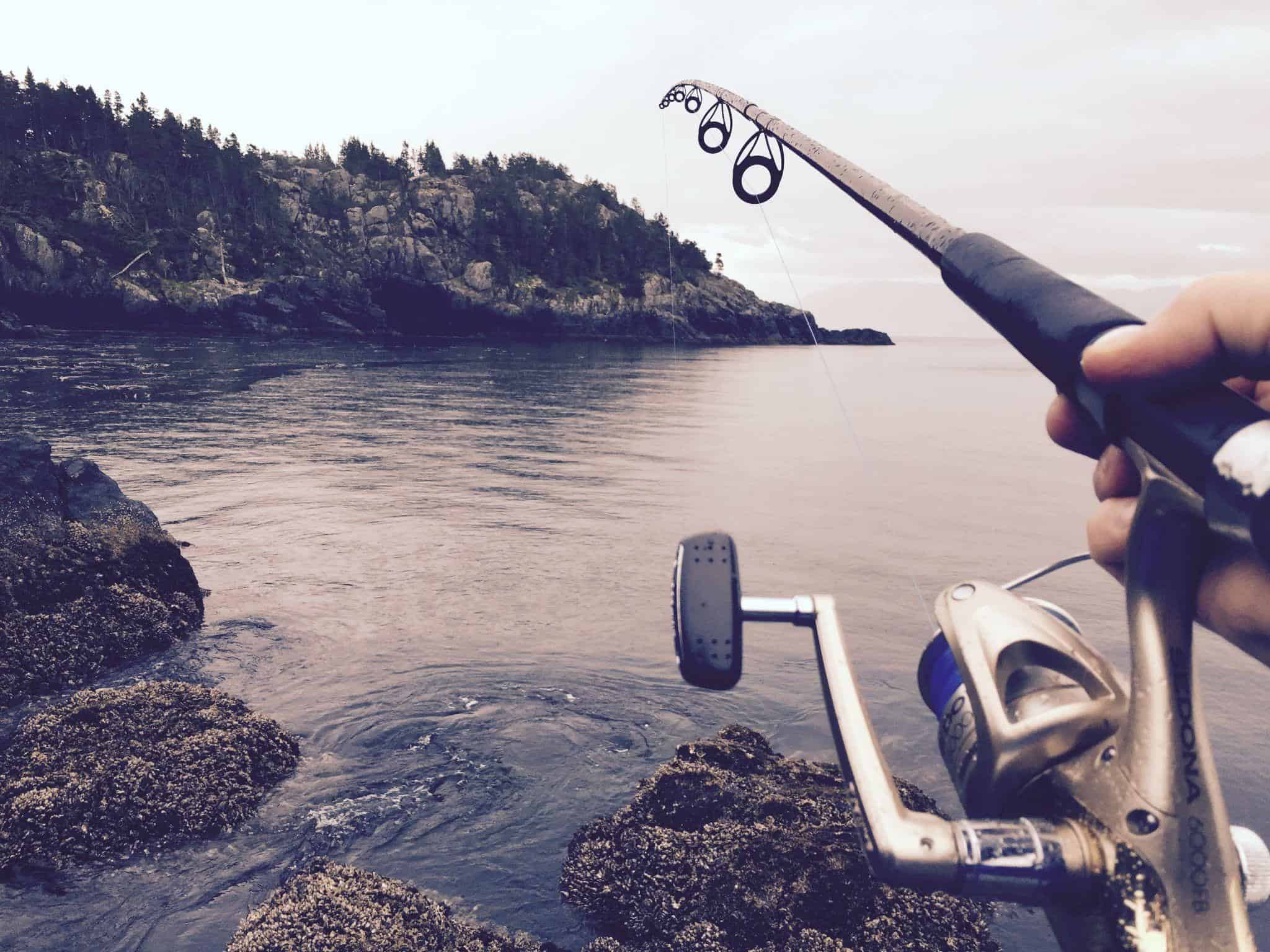 Best rod and reel combos for catfishing