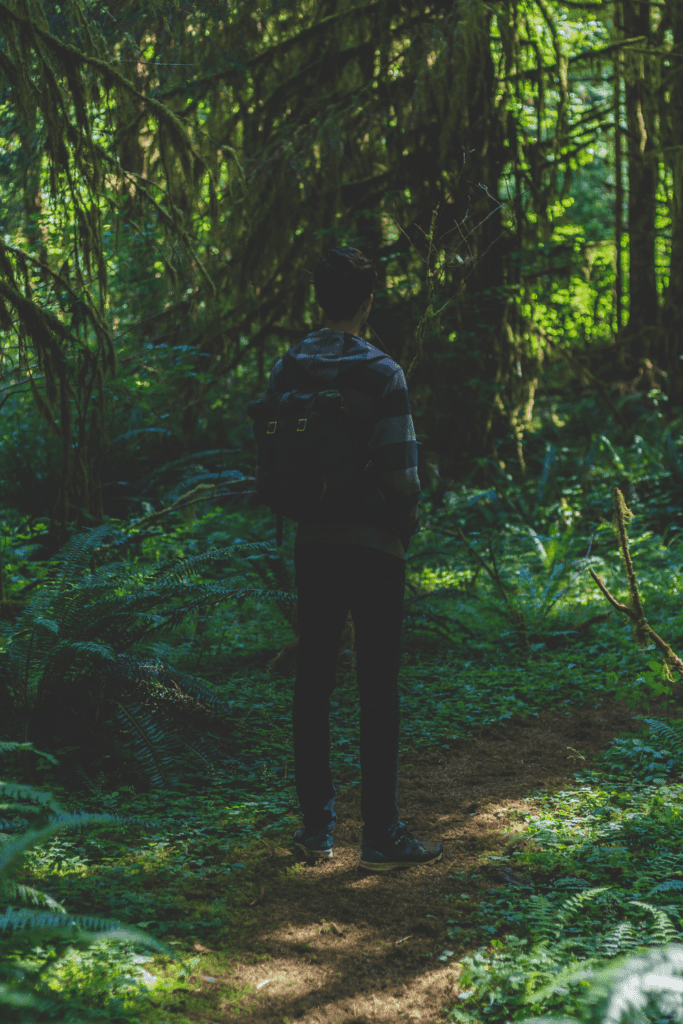 Guy hiking in Hoh Rainforest