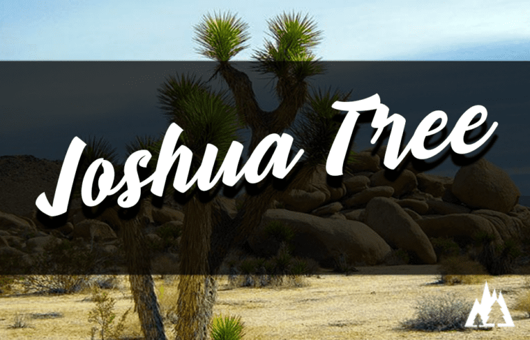 Joshua Tree