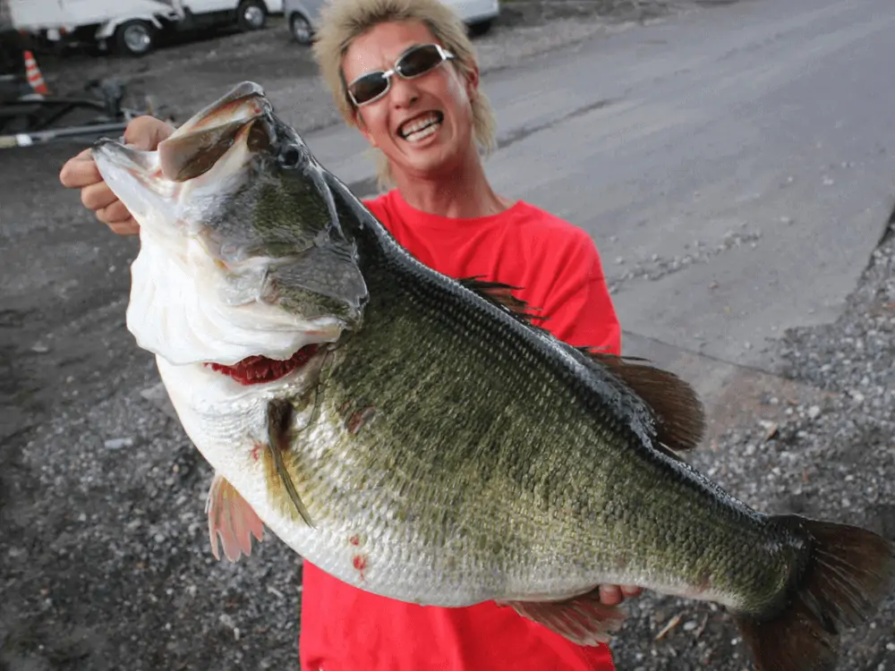 Manabu Karita's bass