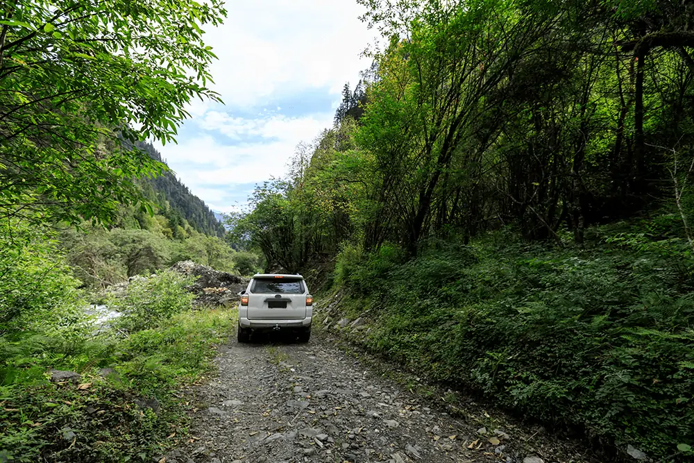 4runner in the wilderness