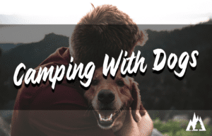 Camping with dogs