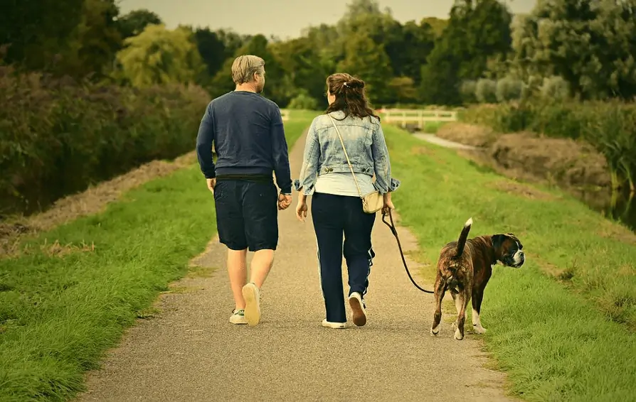 Couple walking their dog on a trail