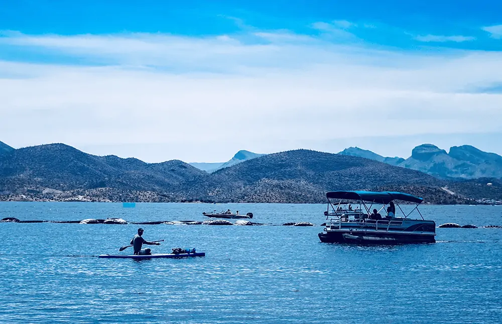 pontoon boat
