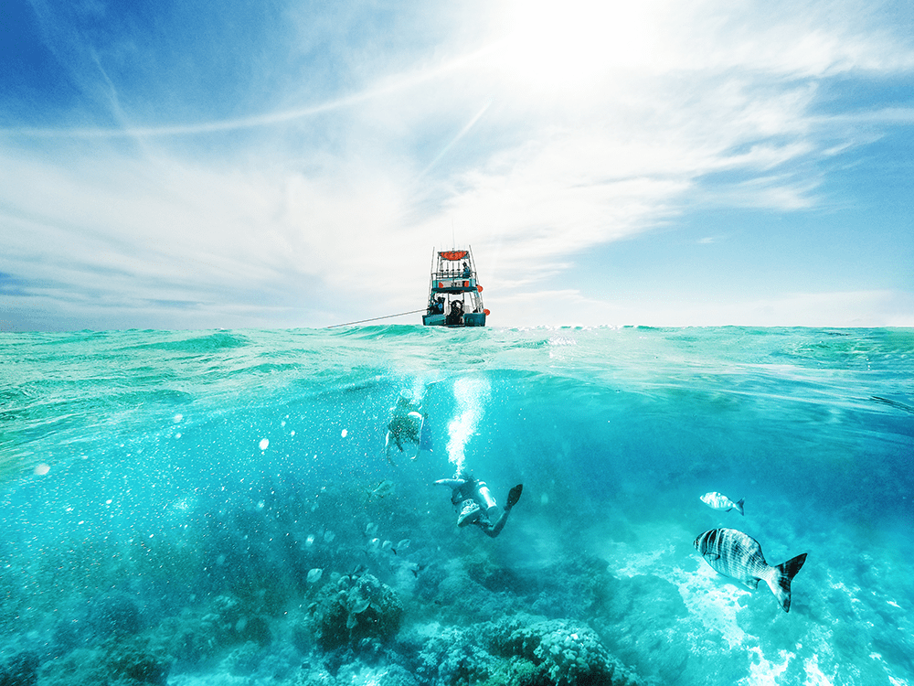 fishing boat and divers