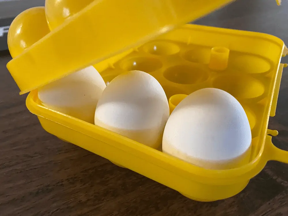 hard plastic egg carton