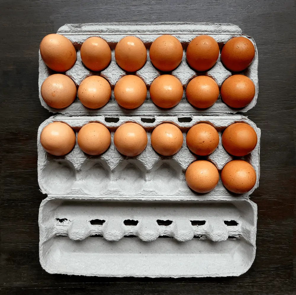 store-bought eggs in carton