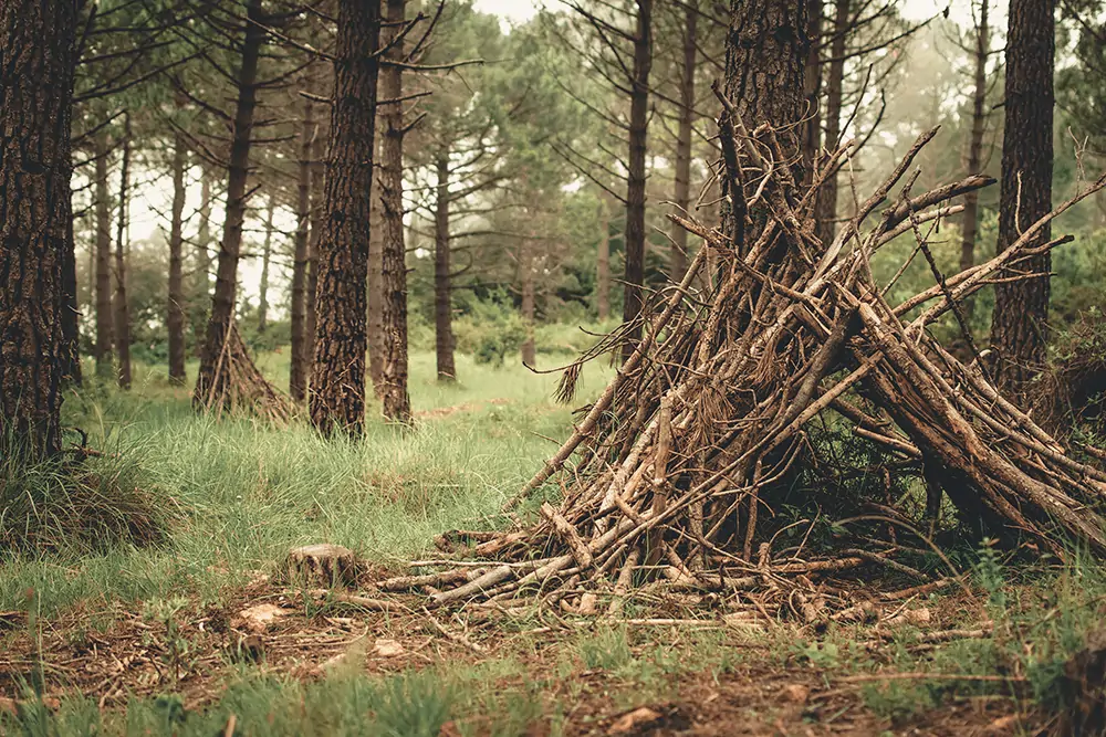 survival hut made of branches