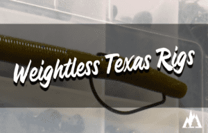 When To Use A Weightless Texas Rig For Bass