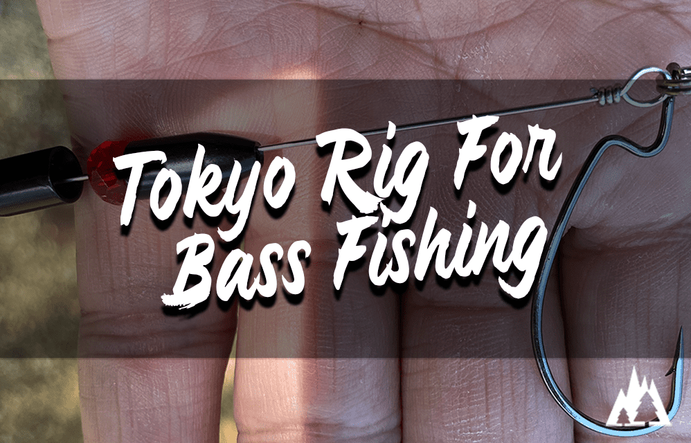 What Is A Tokyo Rig For Bass Fishing? Rep The Wild