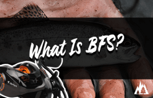 BFS meaning