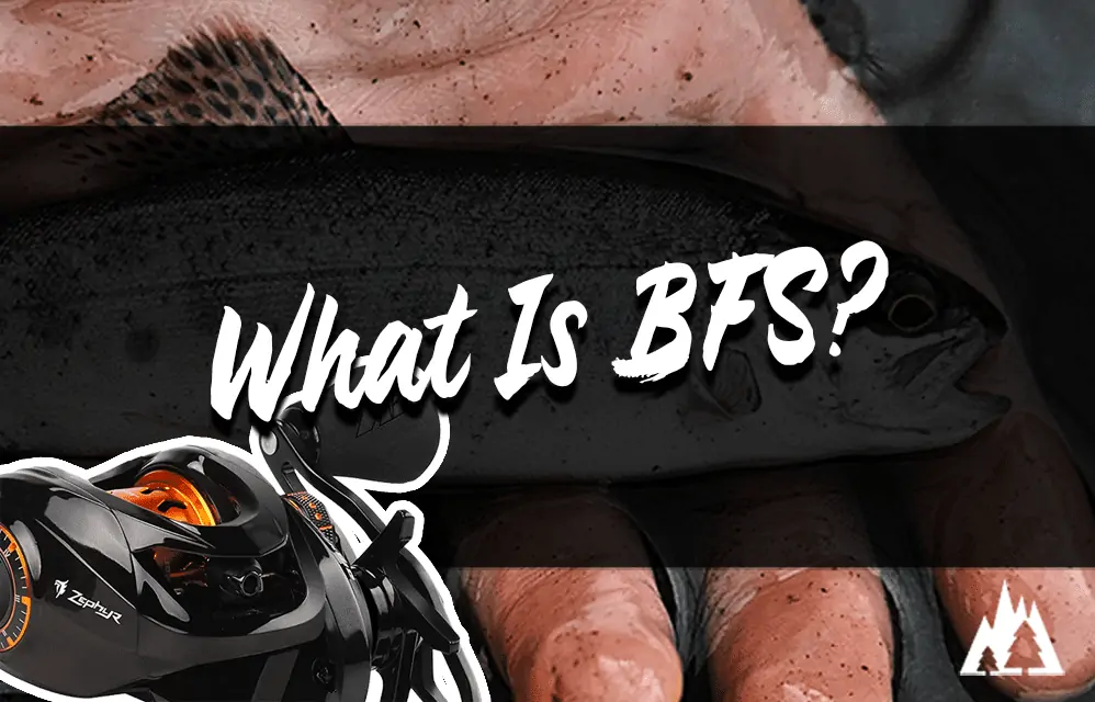 What Does BFS Mean In Fishing Rep The Wild