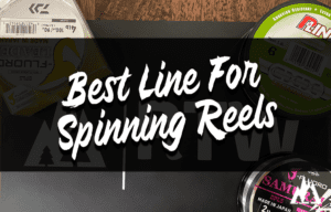best line for spinning reels