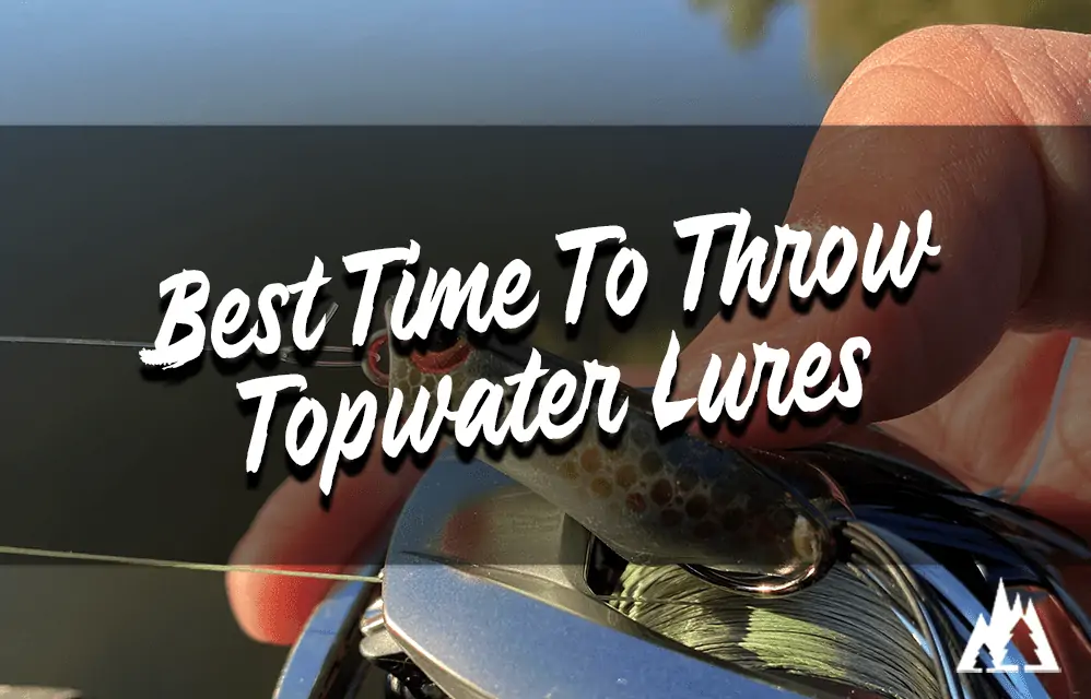 Best time to throw topwater lures for bass