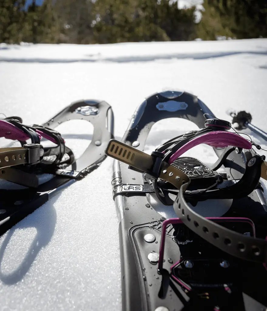 snowshoes in the snow