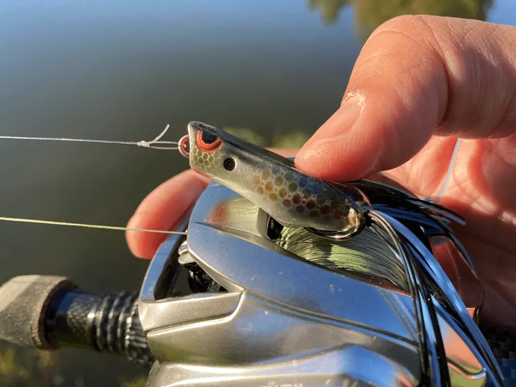 topwater popper for bass