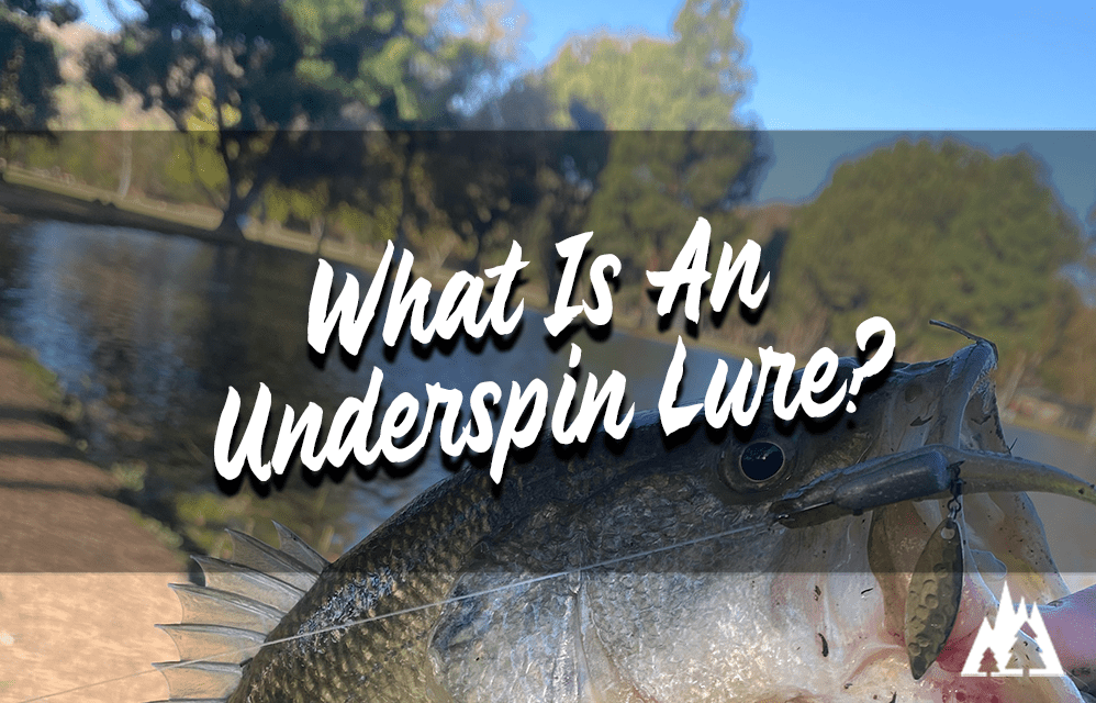 What Is An Underspin Fishing Lure?
