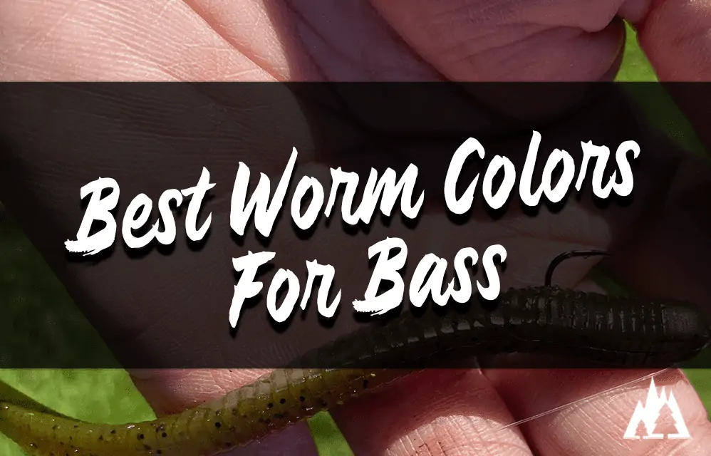 best worm colors for bass fishing