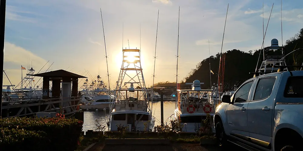 fishing boats in the bay