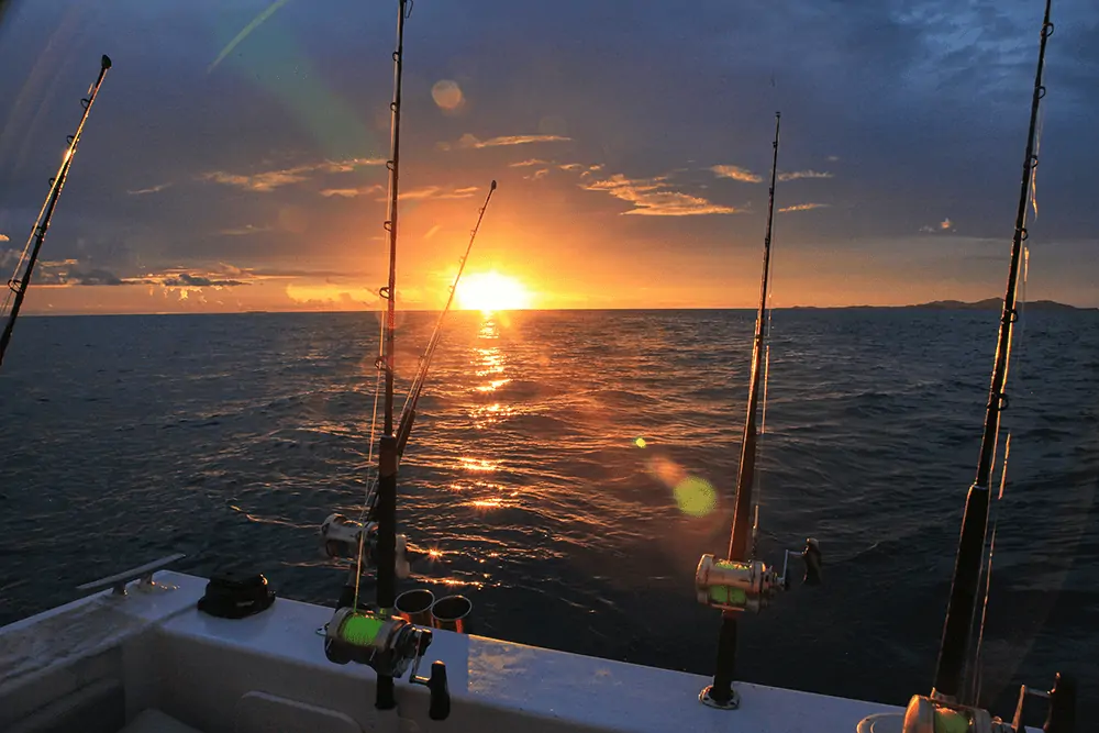 Saltwater vs. Freshwater Fishing Rods