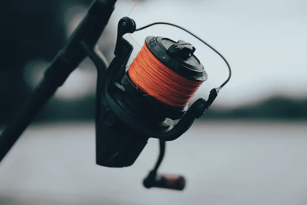 spinning reel