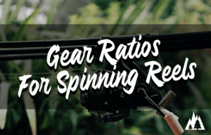 What Is The Best Gear Ratio For Spinning Reels? And Why You’re Not Catching Fish