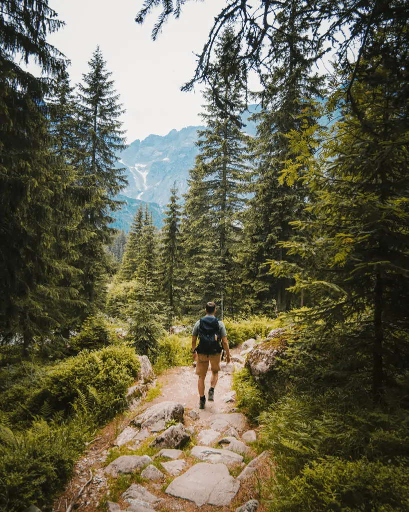 hiker in the mountains