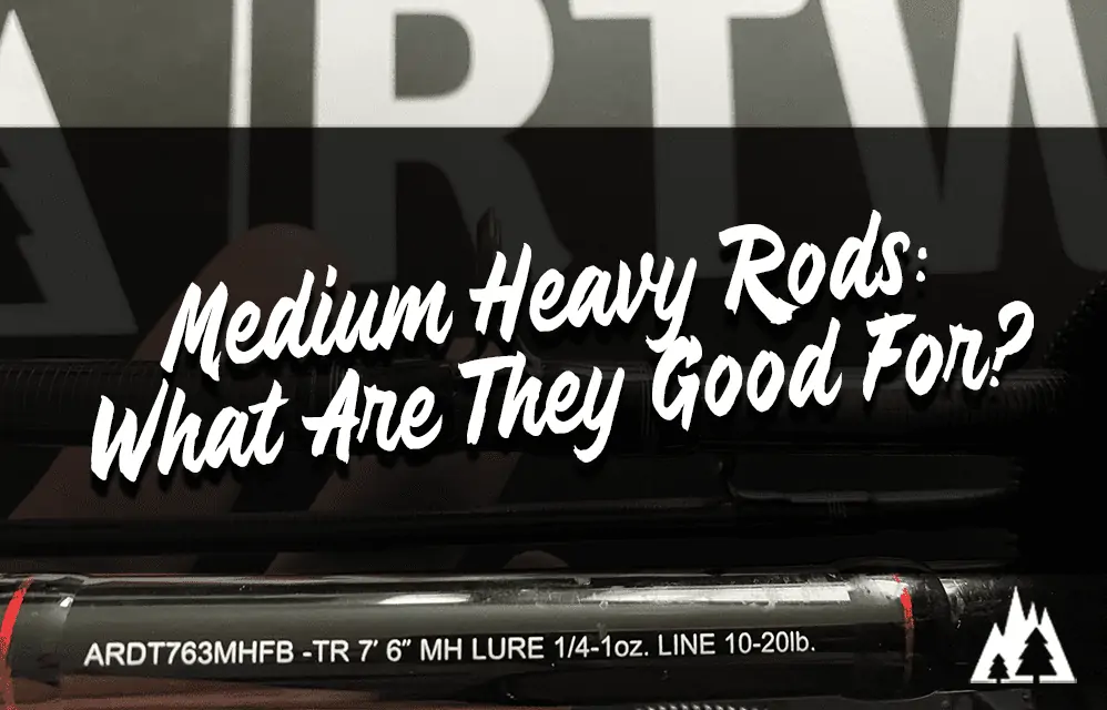 Medium heavy rods what are they good for?