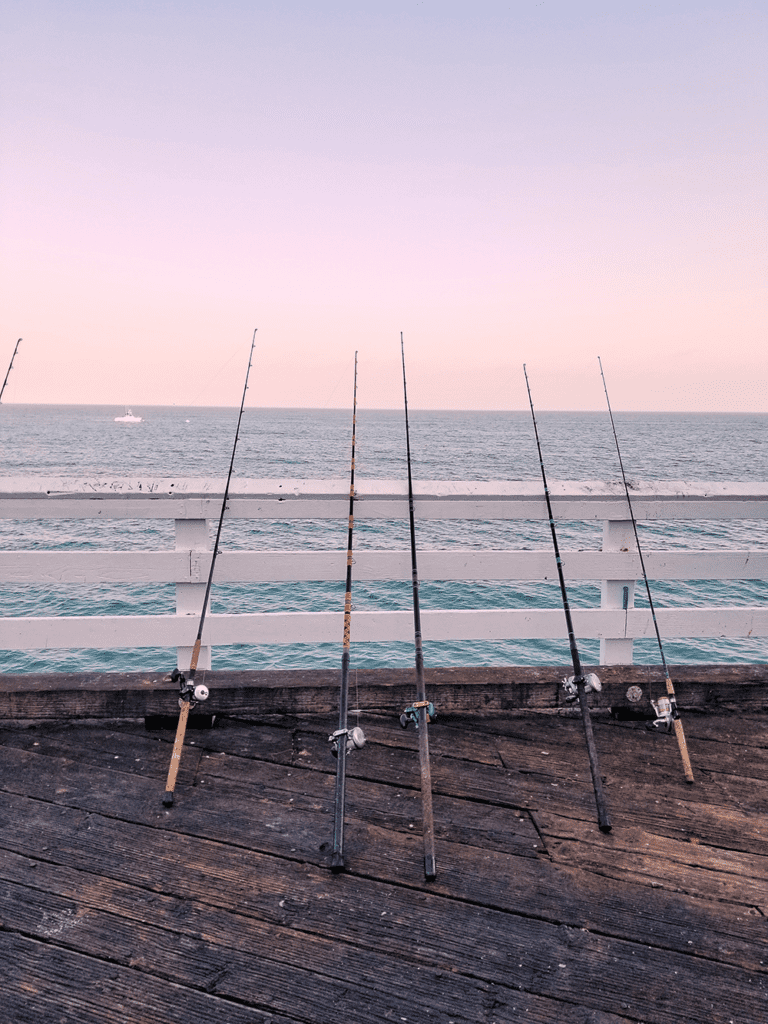 pier fishing