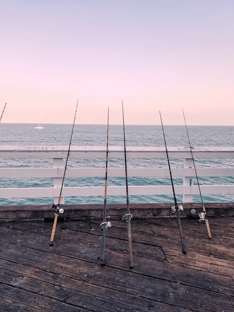 Can I Use My Freshwater Fishing Rod And Reel In Saltwater?