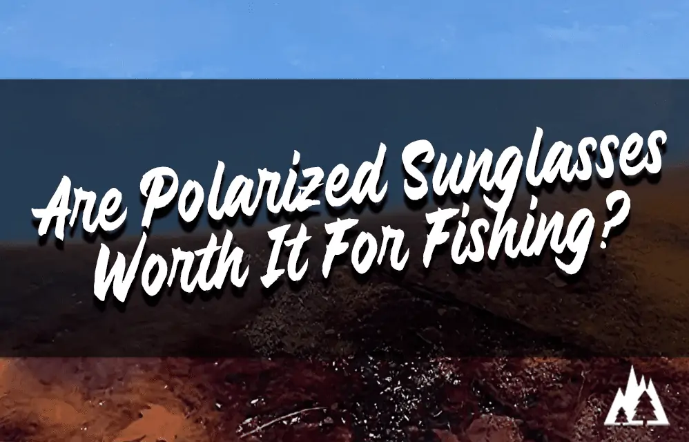 Are polarized sunglasses worth it for fishing?