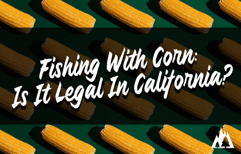 Is Fishing With Corn Illegal In California For Trout? Rep The Wild