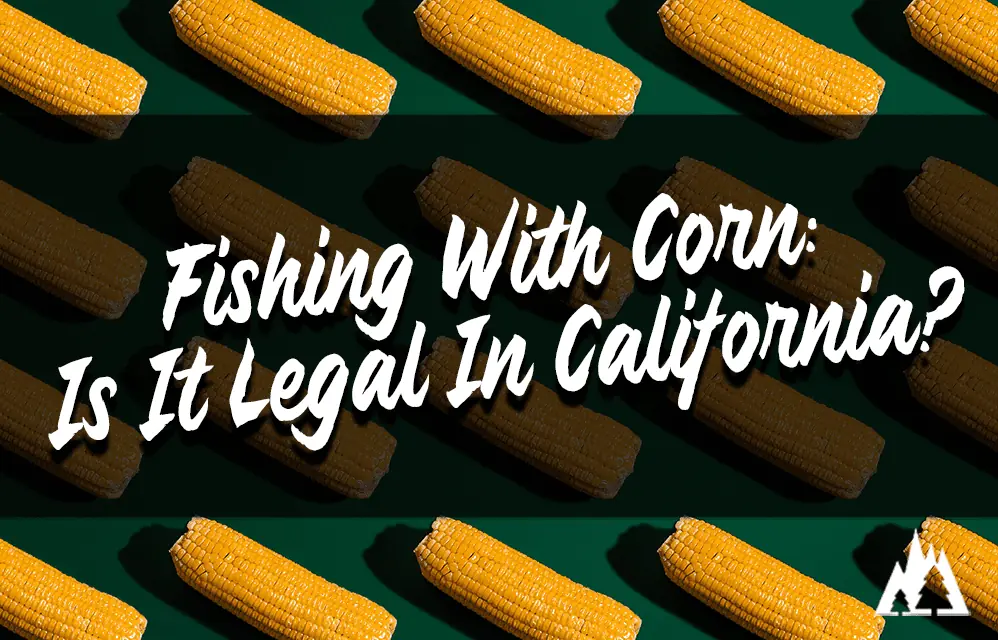 Fishing with corn in California