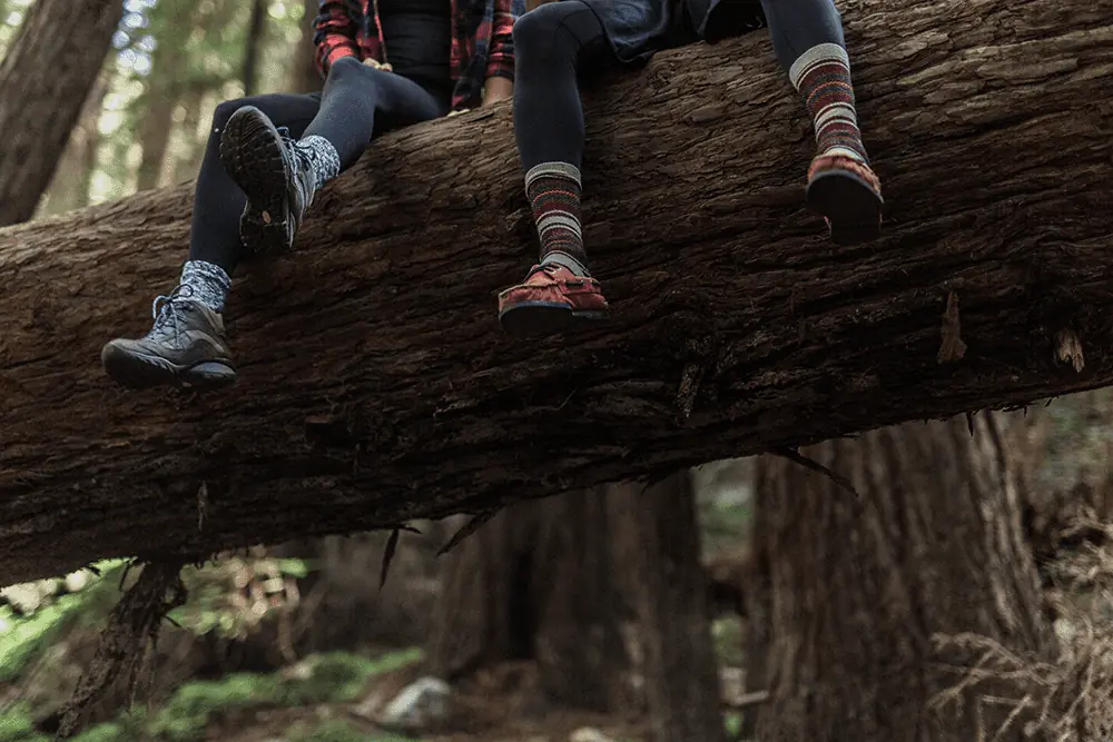 hikers sitting on the log