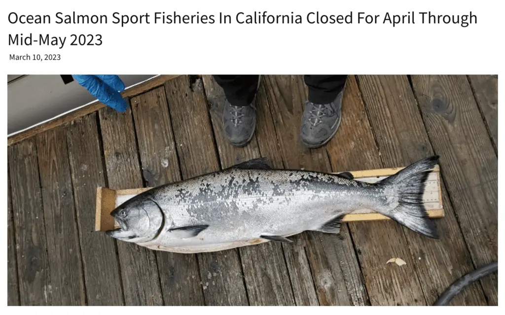 Salmon season closed off west coast