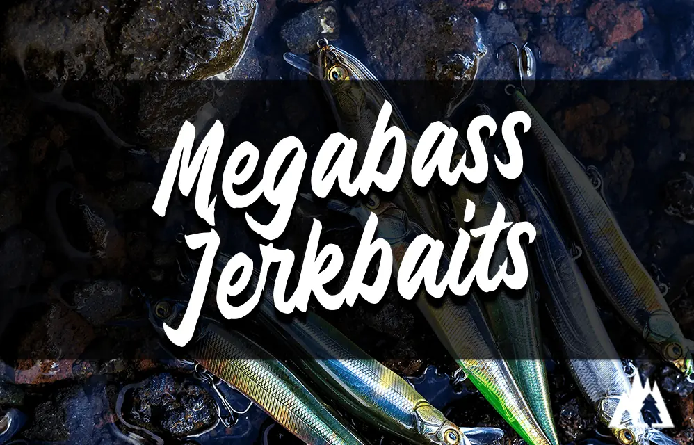 Megabass jerk baits worth it? : r/Fishing_Gear