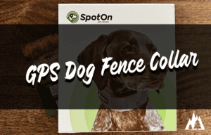 GPS Dog Fence Collar for Peace of Mind: Keep Fido Safe on Your Next Adventure