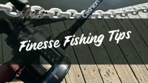 Finesse Fishing Tips for Pressured Lakes: Light Tackle Techniques That Work