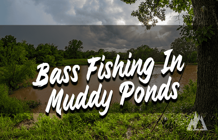 Fishing for Bass in Muddy Ponds After Rain: Best Lures & Tactics